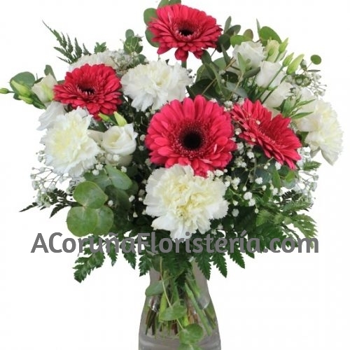 Ramo Clavel y Gerberas