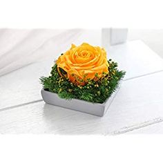 Rosa Preservada, Regalo de San Valentín, Rosa Eterna, Floristería Online, Rosas Naturales, Floristerías en A Coruña, Floristería Abelleira