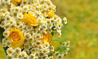 Ramo Flores Hungría, Comprar Flores Online, Floristerías en A Coruña, Flores para Regalar, Floristería Online, Floristas Profesionales, Envío de Flores