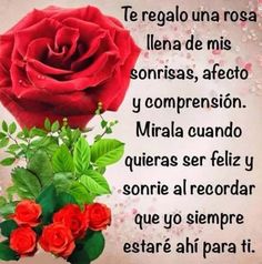 Ramo de 6 Rosas, Regalar Rosas, Ramos de Rosas para Regalo, Arte Floral, Envío de Arreglos Florales, Floristería Abelleira, Floristería en A Coruña