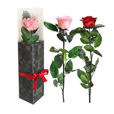 Rosa Preservada, Regalo de San Valentín, Rosa Eterna, Floristería Online, Rosas Naturales, Floristerías en A Coruña, Floristería Abelleira