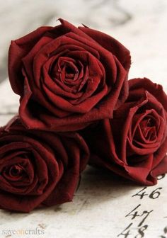 Ramo de 6 Rosas, Regalar Rosas, Ramos de Rosas para Regalo, Arte Floral, Envío de Arreglos Florales, Floristería Abelleira, Floristería en A Coruña