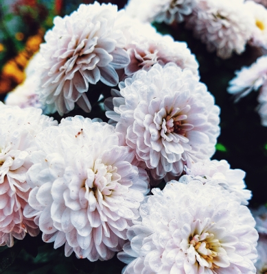 Centro Lágrima tonos Blancos, Enviar Flores Blancas al Tanatorio, Flores para Difuntos, Floristería en A Coruña, Comprar Flores Online