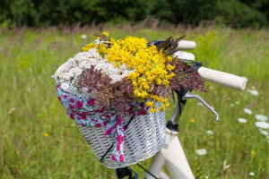 Comprar Flores Online, Ramos de Flores a Domicilio, Regalar Ramos de Flores, Floristería en A Coruña, Envíos Florales Urgentes a A Coruña