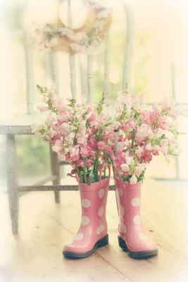 Comprar Centro de Flores Online, Floristería de A Coruña, Flores y Cestas de Frutas para Regalar, Regalar Flores en A Coruña, Enviar Flores en A Coruña