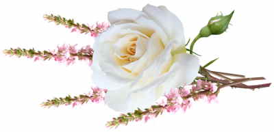 Bouquet Flores Dinamarca, Flores para Regalar, Floristería Online, Ramos de Flores, Arreglos Florales, Floristerías en A Coruña