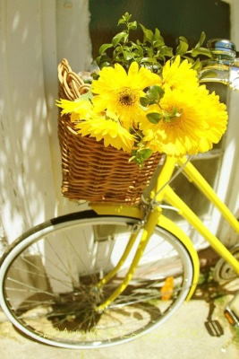 Comprar Centro de Flores Online, Floristería de A Coruña, Flores y Cestas de Frutas para Regalar, Regalar Flores en A Coruña, Enviar Flores en A Coruña