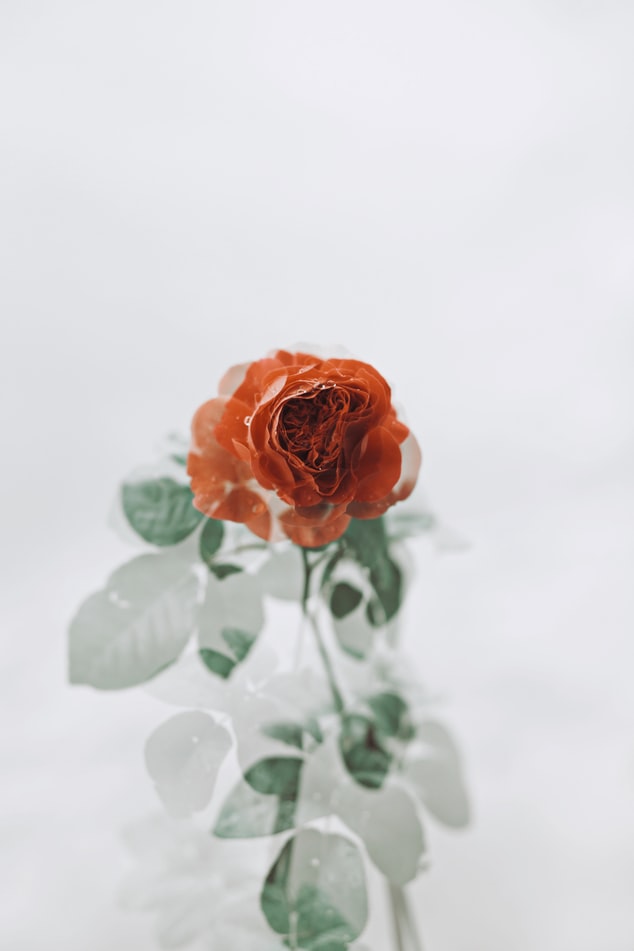 Flores para el Tanatorio envío urgente de flores para tanatorio