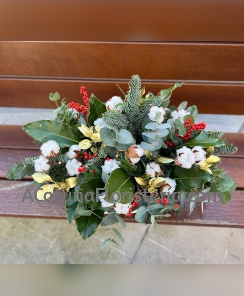 Centro Navideño